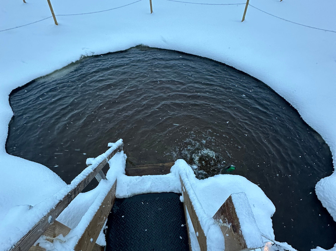 Arctos Lapland-罗瓦涅米必去景点