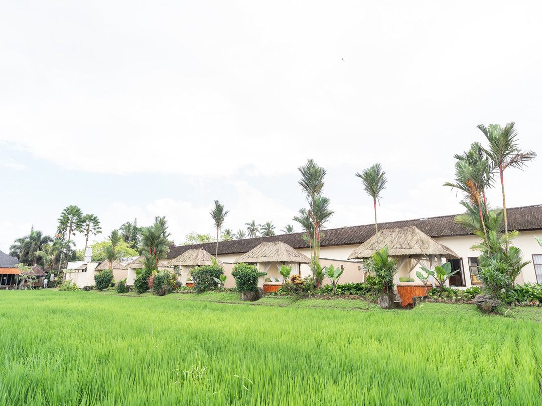 阿拉姆普斯别墅主图