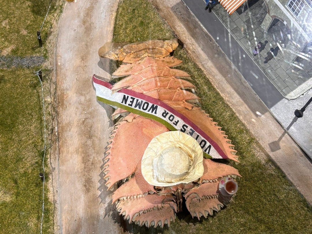 Crab Museum-Margate必去景点