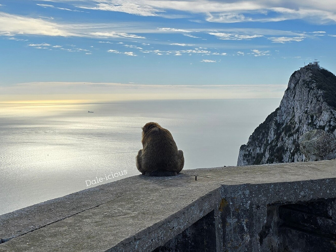 Gibraltar Upper Rock Nature Reserve-直布罗陀必去景点