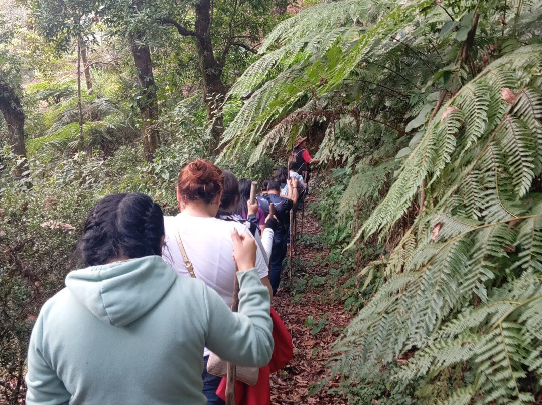 El Catador Tour del Cafe & Catacion-Xicotepec必去景点