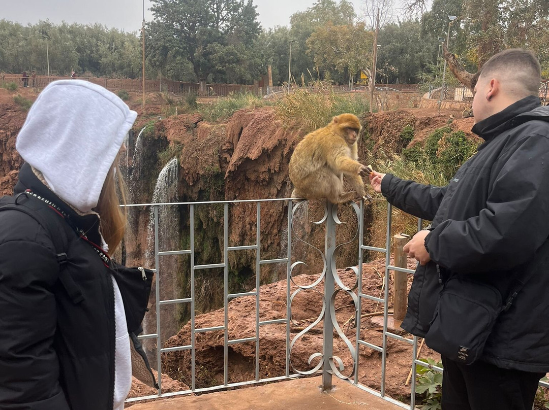 Morocco Africa Trips-阿加迪尔必去景点