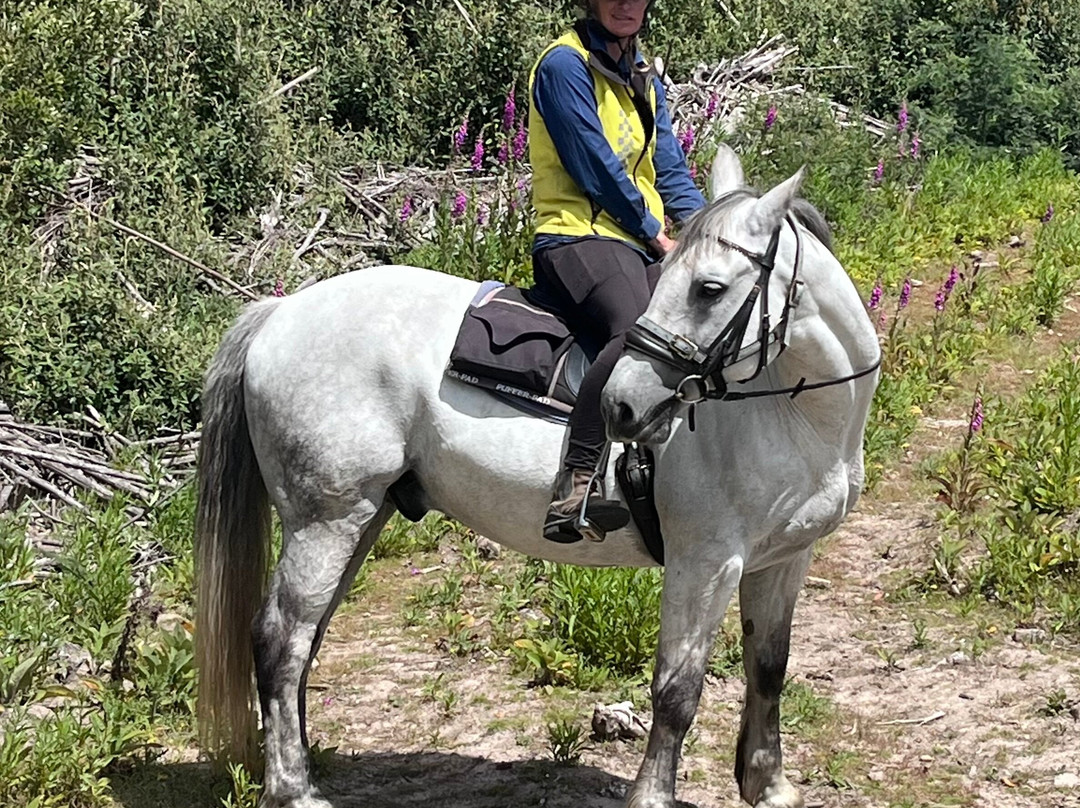 Cradle Country Adventures-摇篮山圣克莱尔湖国家公园必去景点