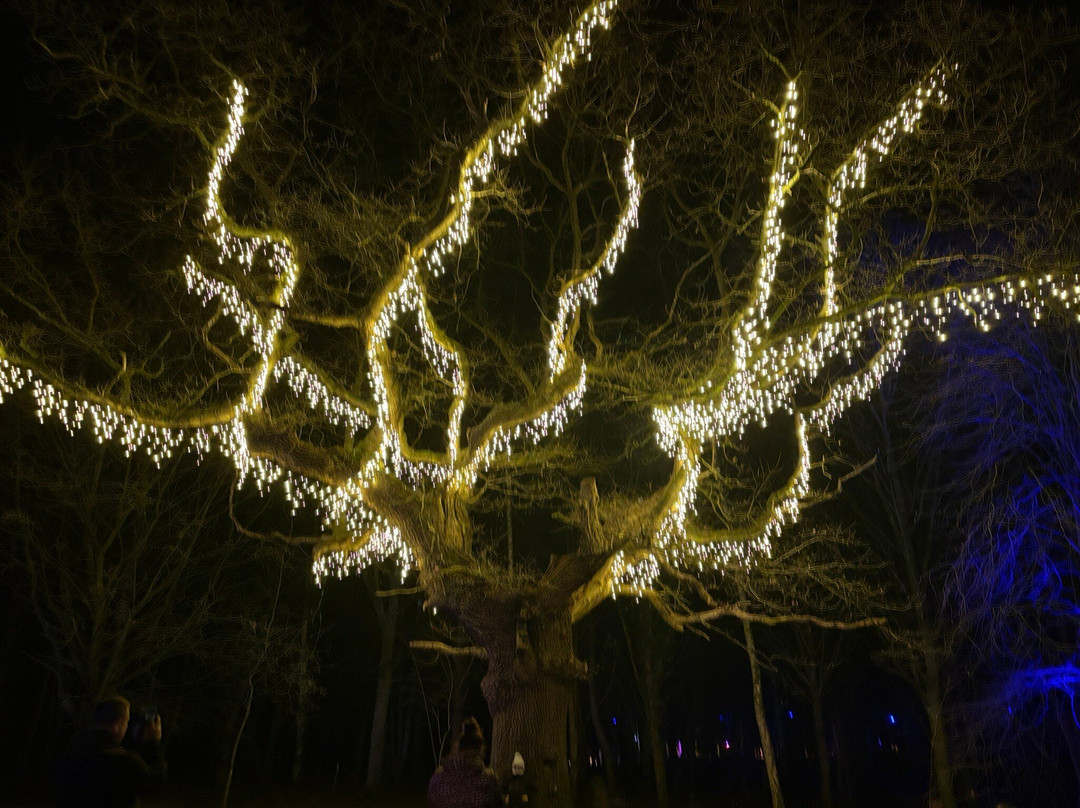 Heritage Wood-阿什伯恩必去景点