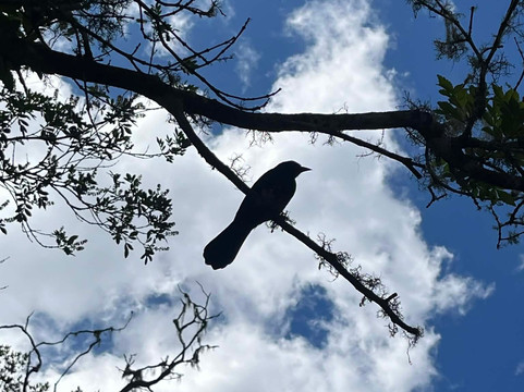 Parque Estadual De Ibitipoca-Conceicao da Ibitipoca必去景点