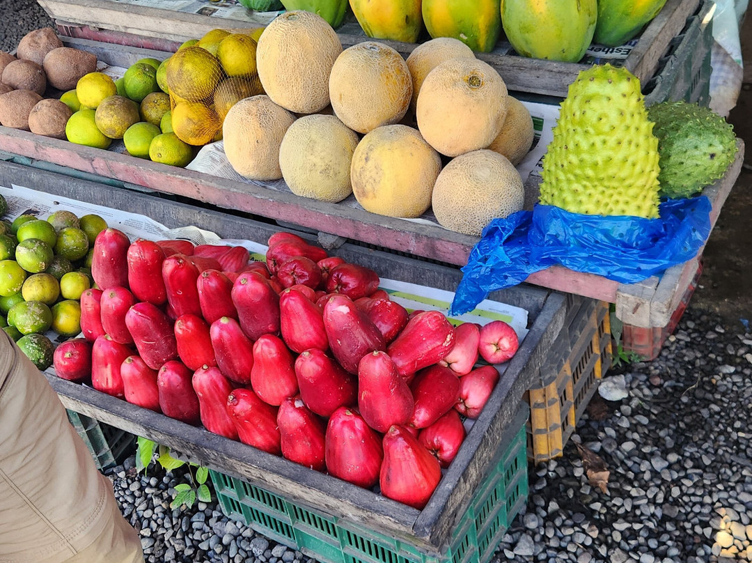 Gio Tours -  Day Tours-彭塔雷纳斯必去景点