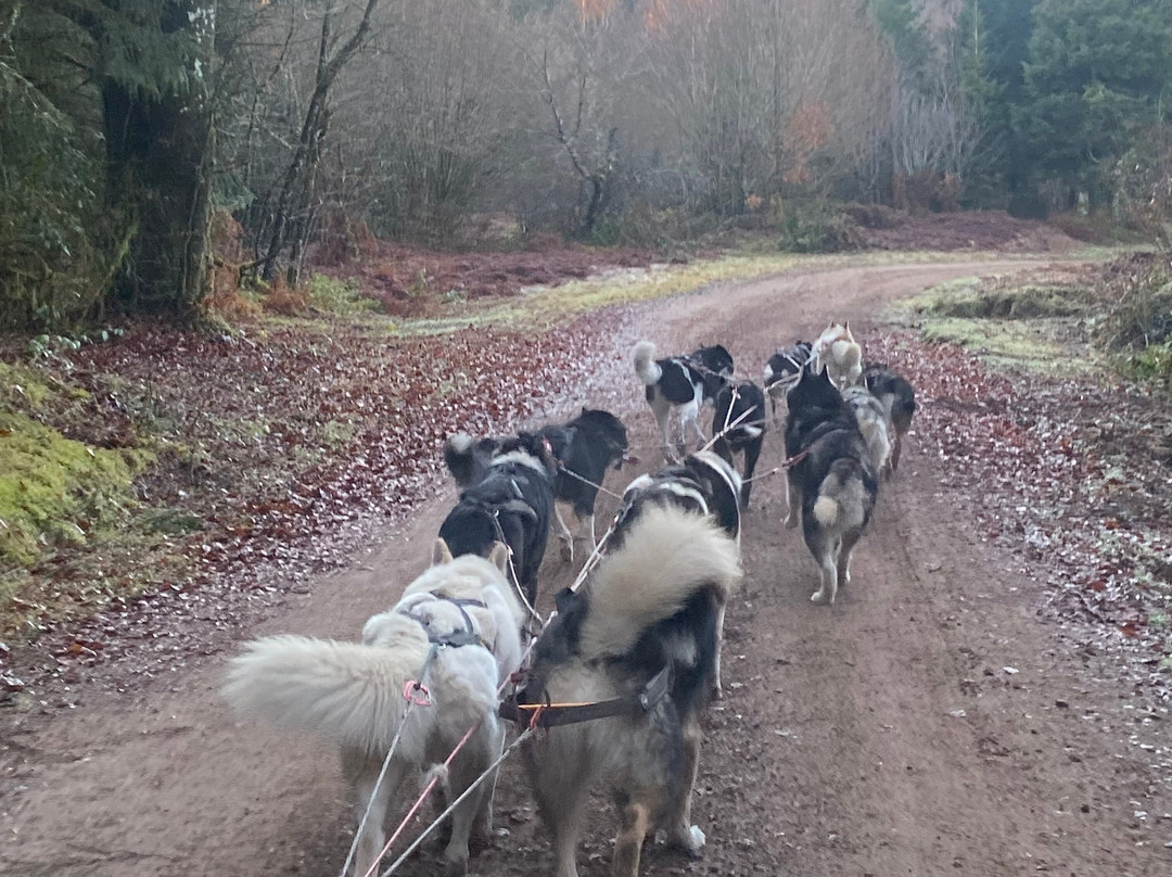 Njalla Mushing-Rupt-sur-Moselle必去景点