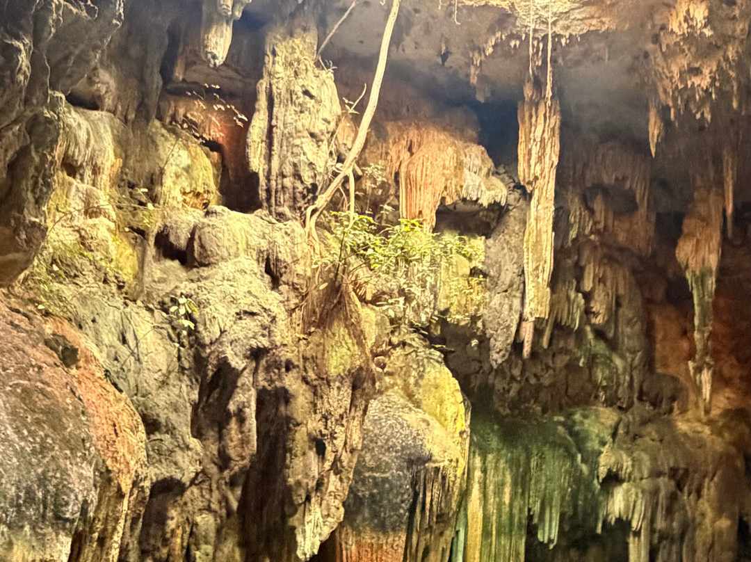 Tsukán Santuario de Vida-Piste必去景点