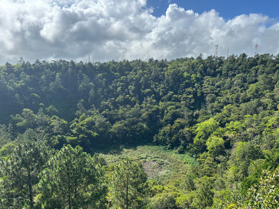 Sud Sauvage Adventure-Surinam必去景点