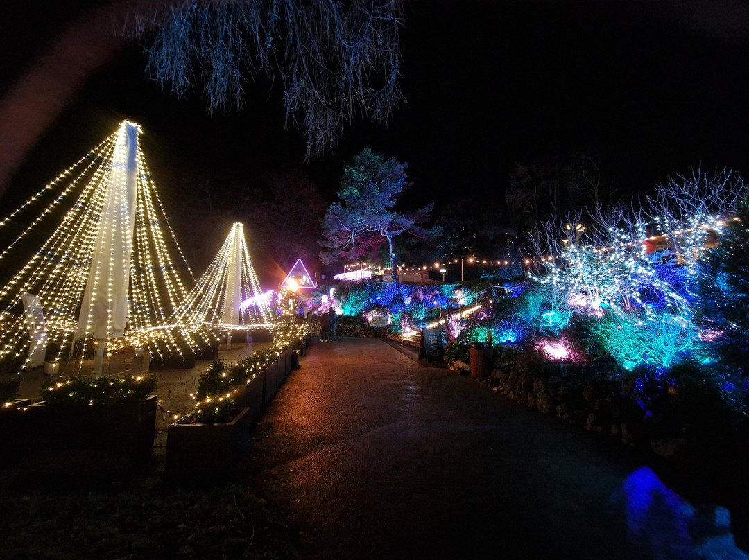 Heights of Abraham-Matlock Bath必去景点