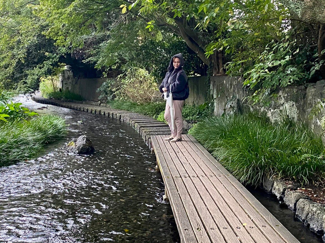 Gempeigawa River-三岛市必去景点