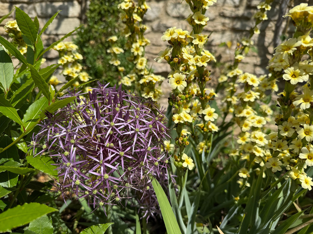 库姆堡村-库姆堡必去景点