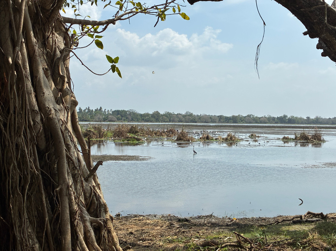Kingfisher Ceylon tours-尼甘布必去景点