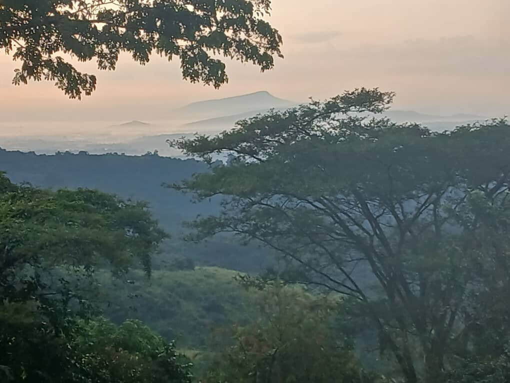 易松加旅馆