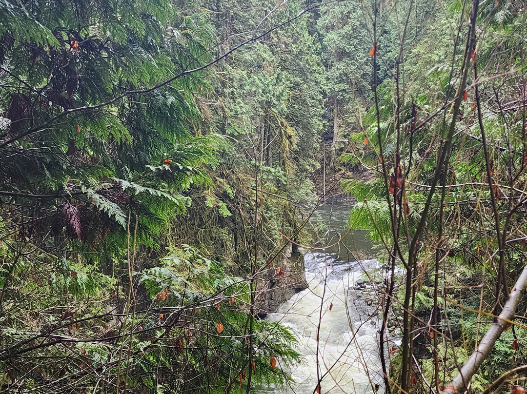 Capilano River Regional Park-北温哥华必去景点