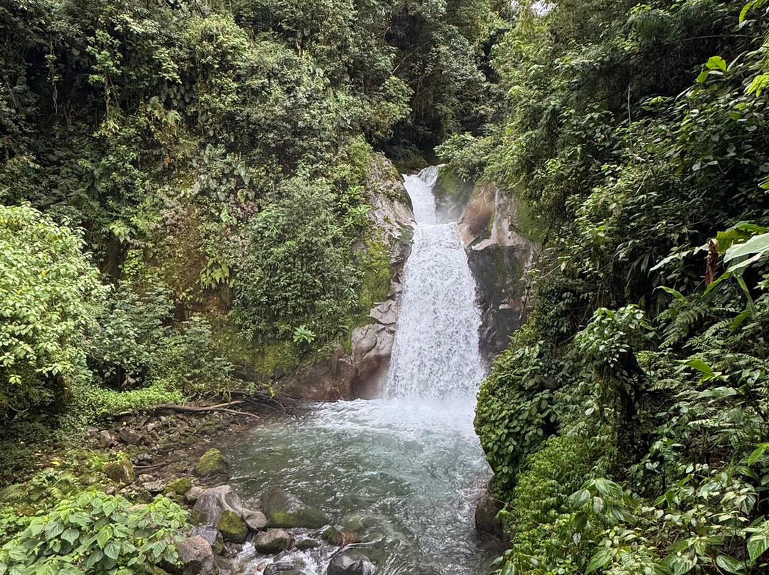 Casa Mariposa Nature Lodge主图