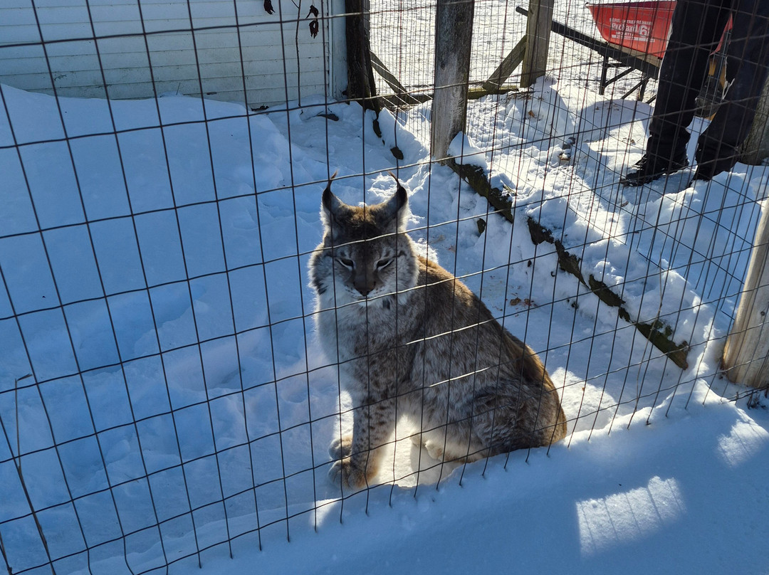 CineZoo-Sainte-Anne-de-la-Rochelle必去景点