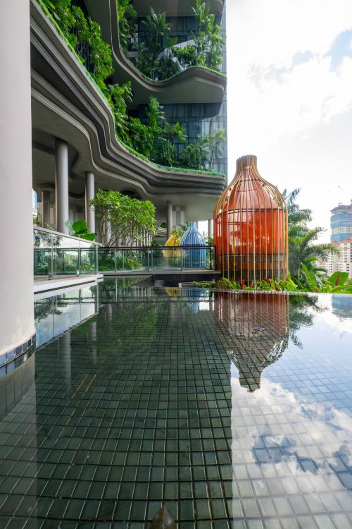 新加坡皮克林宾乐雅臻选酒店-泳池