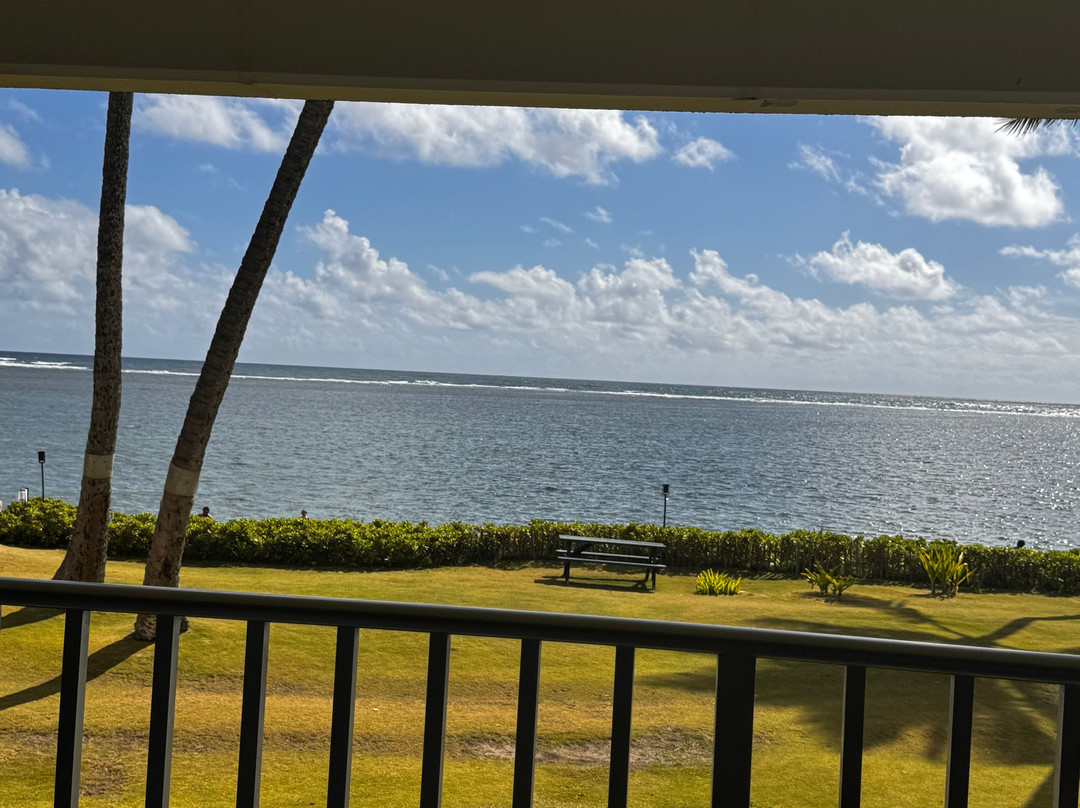 琪琪的天堂主图