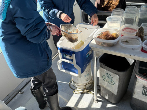 Sarasota Bay Explorers-萨拉索塔必去景点