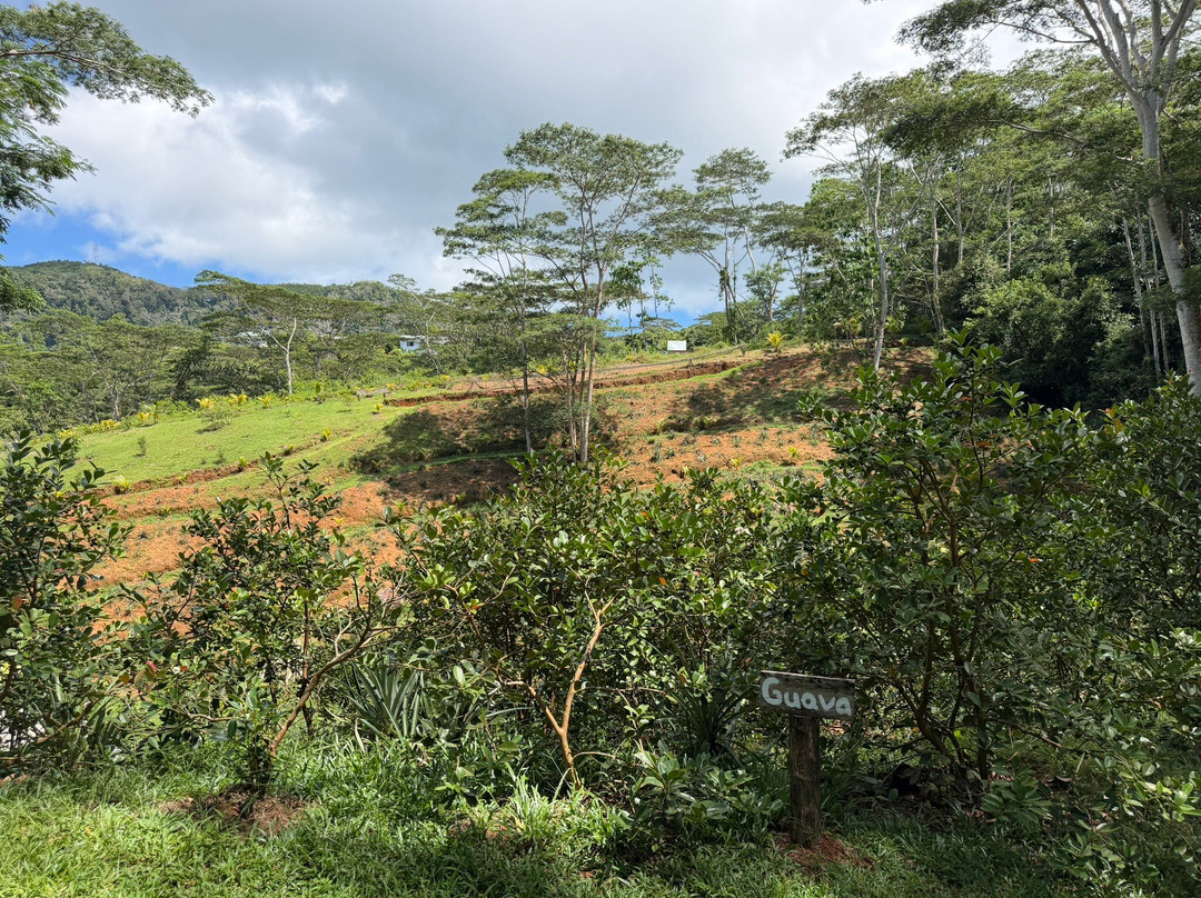 Vallée Des Fruits-大安塞区必去景点