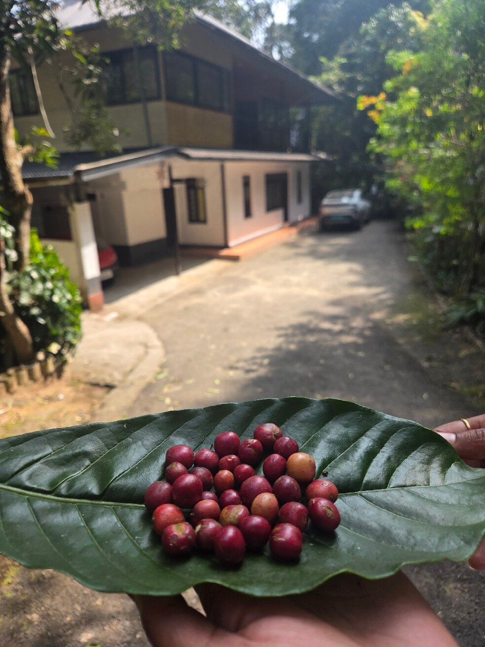 River Rock Homestay-官方