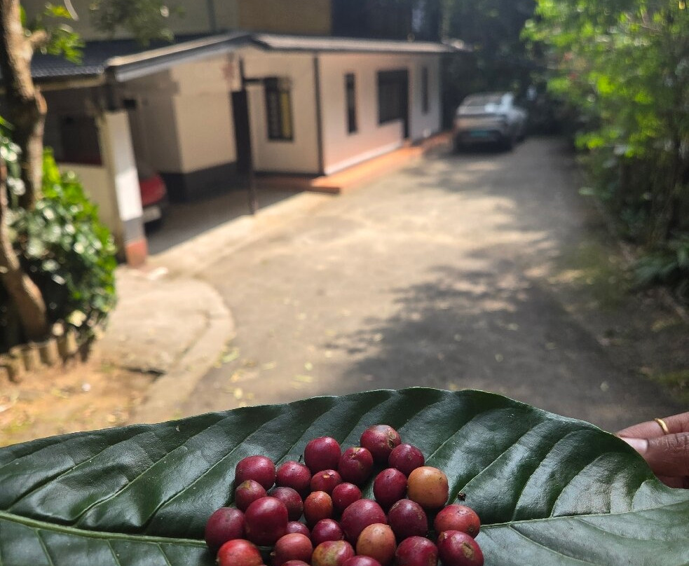 River Rock Homestay主图