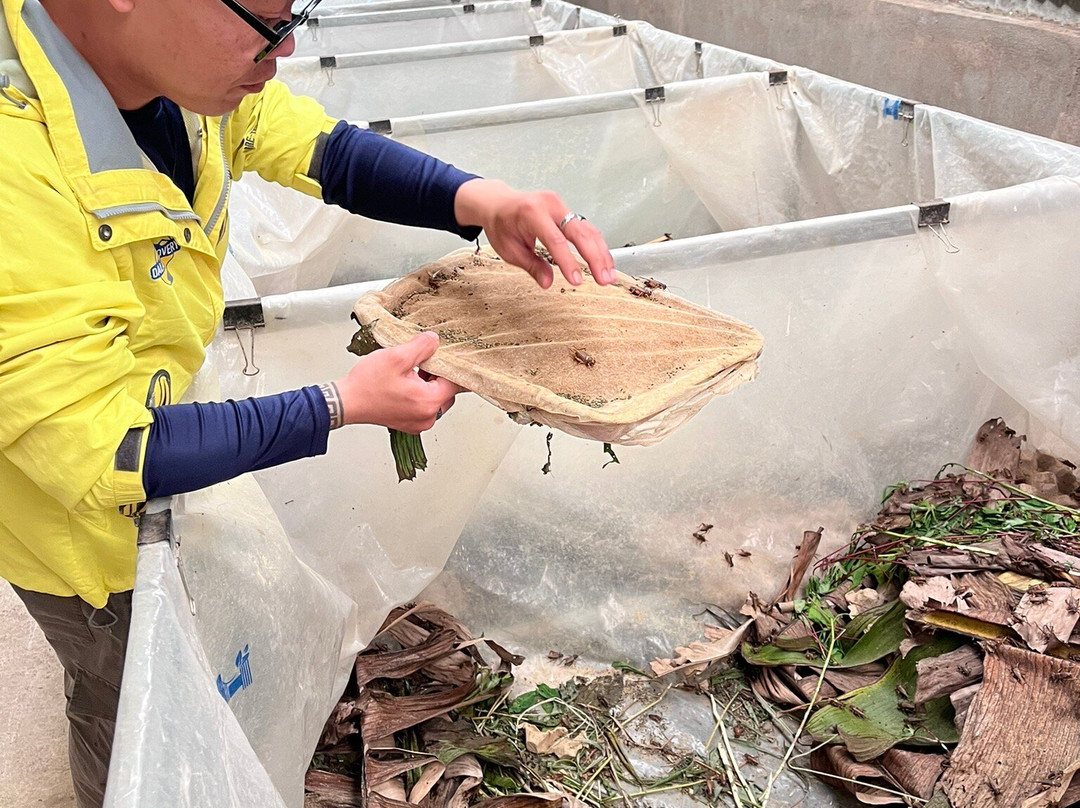 Dalat Discovery Travel-大勒必去景点