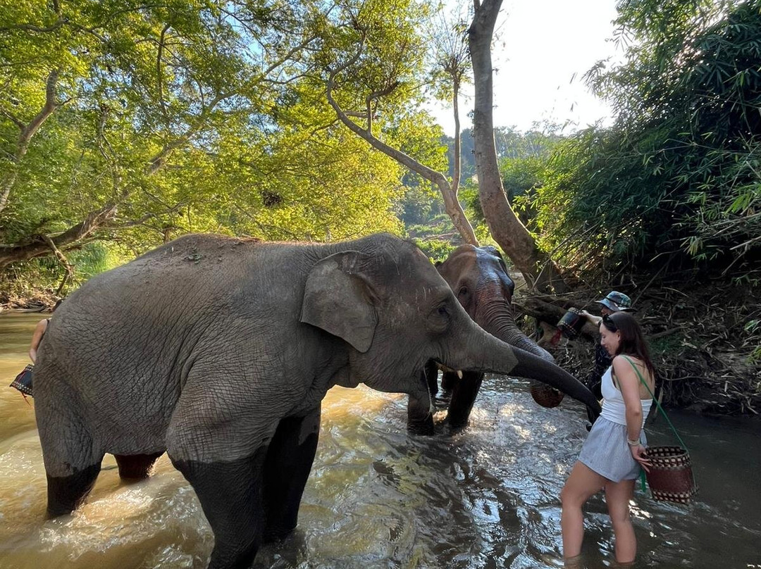 Elephant Sanctuary Care Park-清迈必去景点