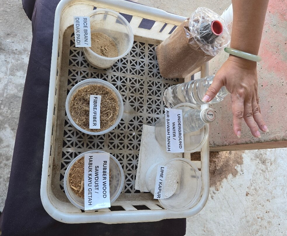 Wonder Farm Mushroom-太平必去景点