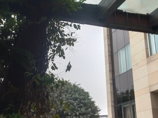 Fortune Park Orange主图