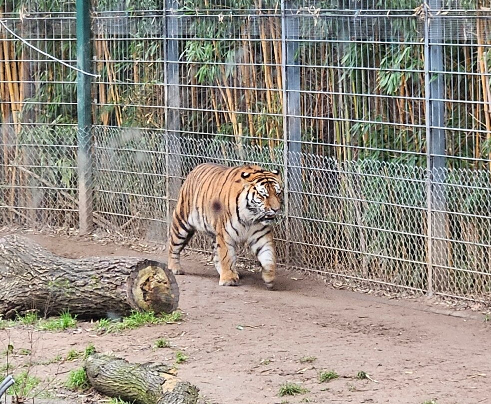 科隆动物园-科隆必去景点