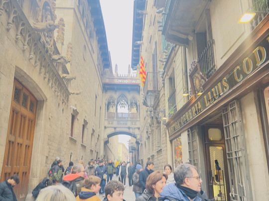 Guia de Turismo Brasileiro em Barcelona-巴塞罗那必去景点