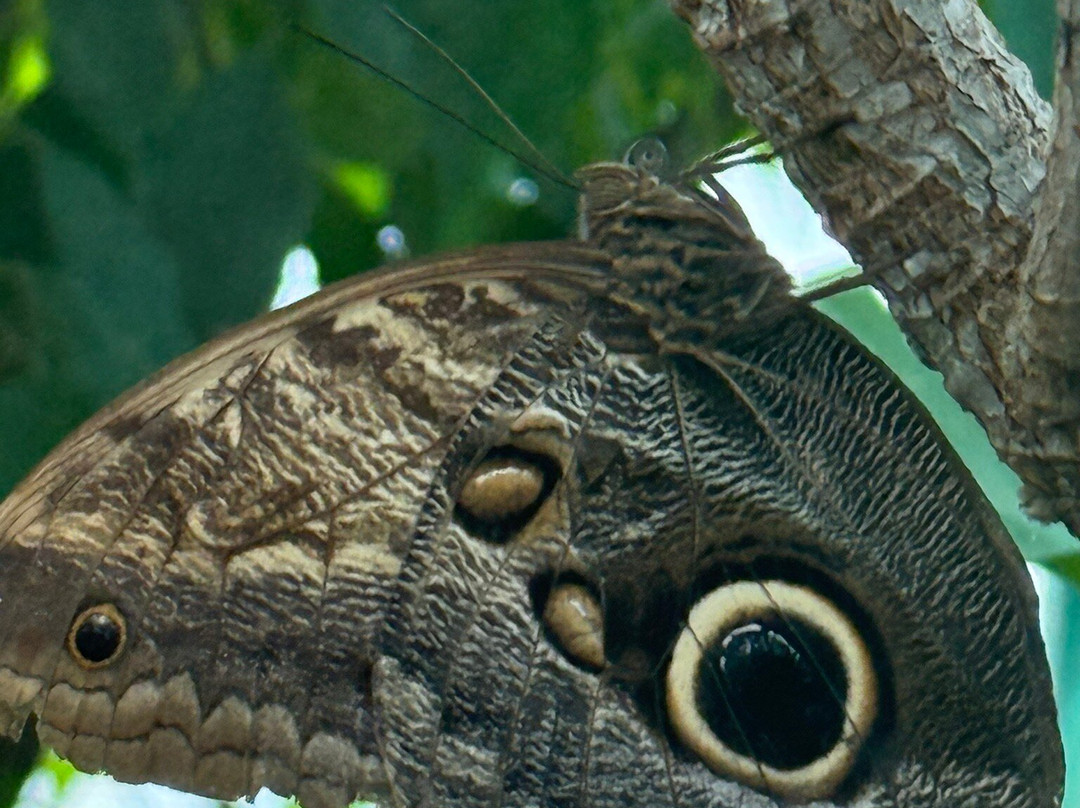 Botanical Garden of the University of Szeged-塞格德必去景点