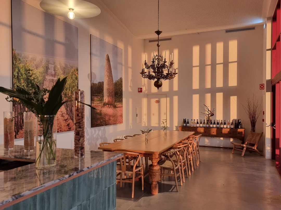 Vicentino Wines-Odemira必去景点