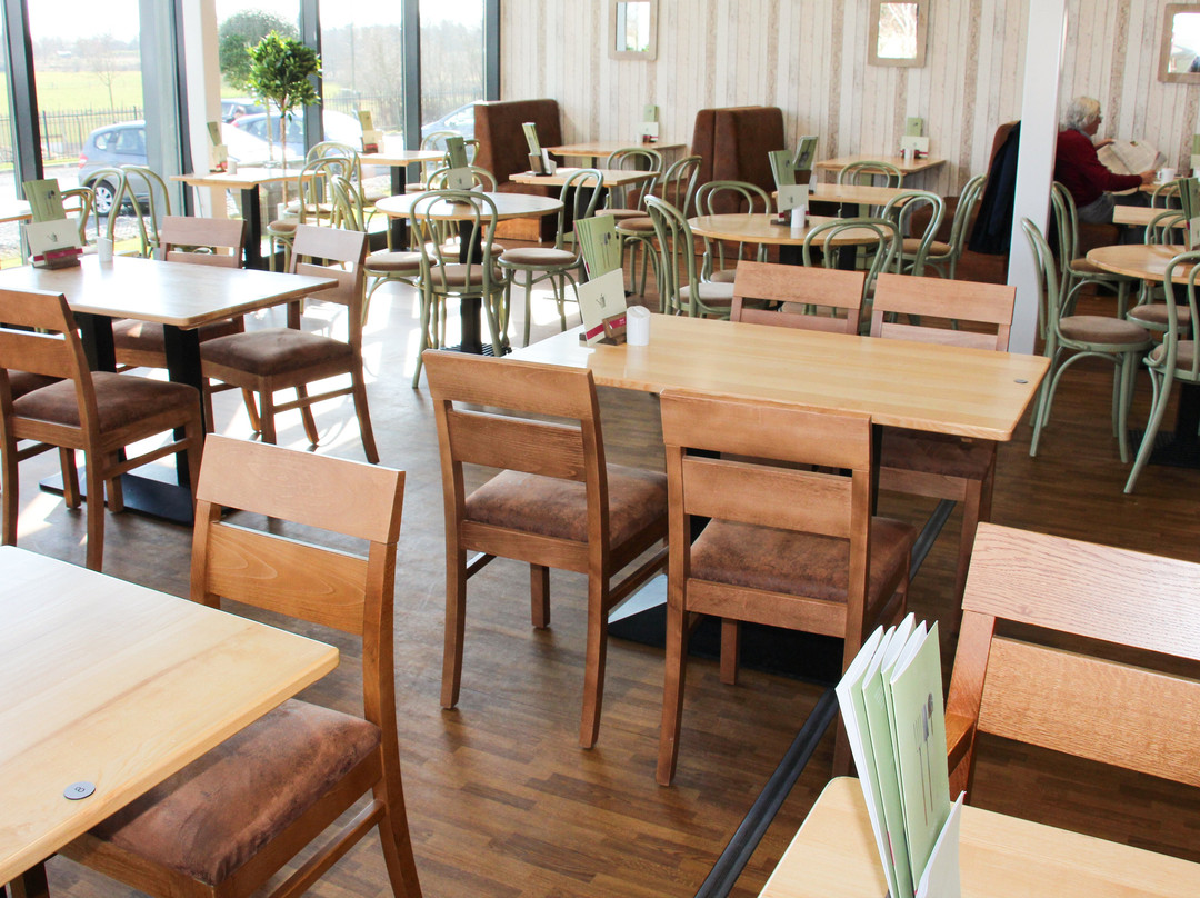 Squire's Garden Centres-Long Ditton必去景点