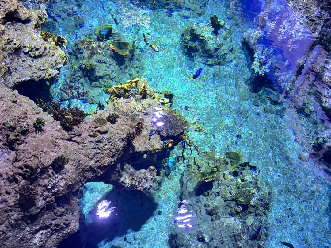 Planet Ocean Montpellier-蒙彼利埃必去景点