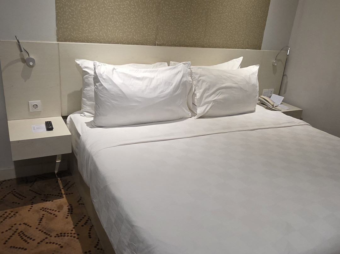 瑞士-贝林巴里巴伴酒店主图