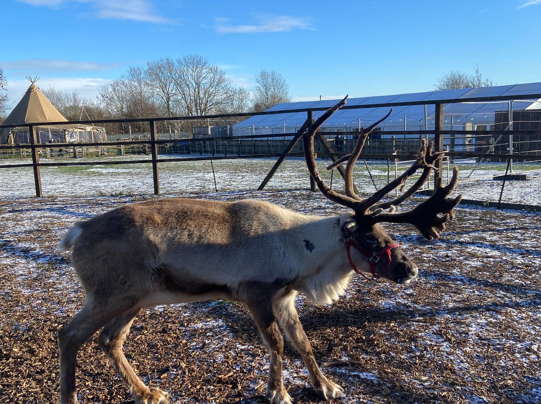 Willow Tree Family Farm-Shirebrook必去景点