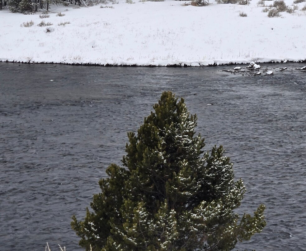 Back Country Adventures-西黄石镇必去景点