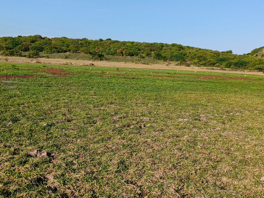 Terek Birding Tours-瓦塔木必去景点