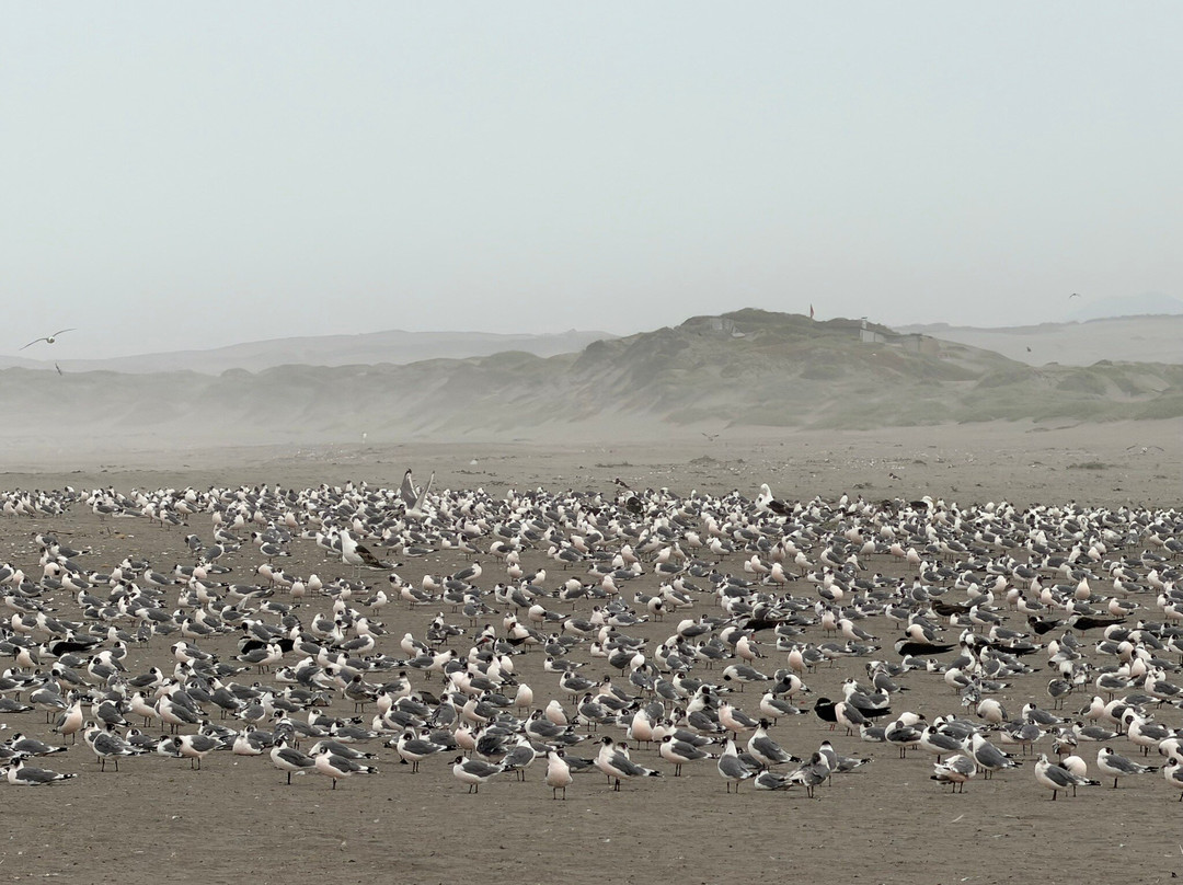 Posada del Parque-Quintero必去景点