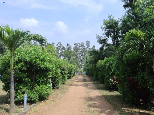 Hampi Blue Moon Resort