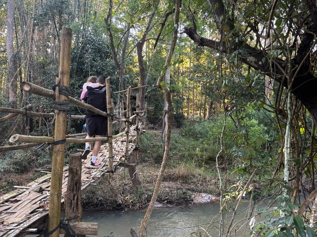 Elephant Sanctuary Care Park-清迈必去景点