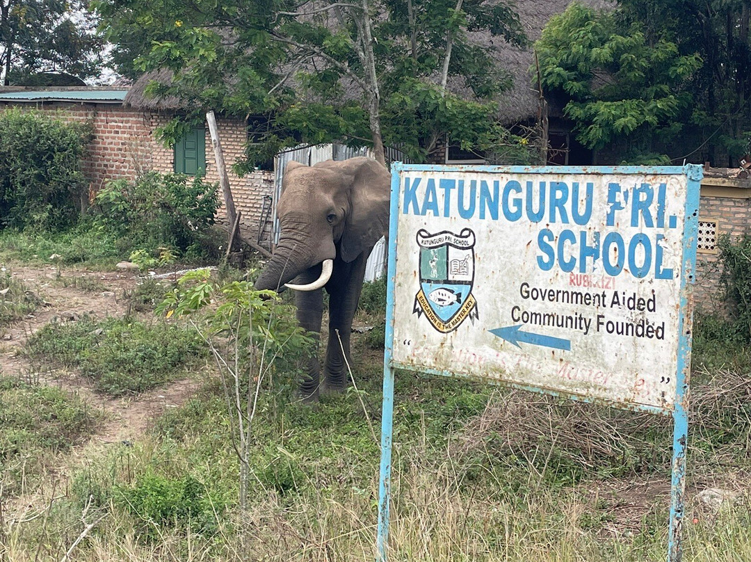 Devine African Safaris-吉佳利必去景点