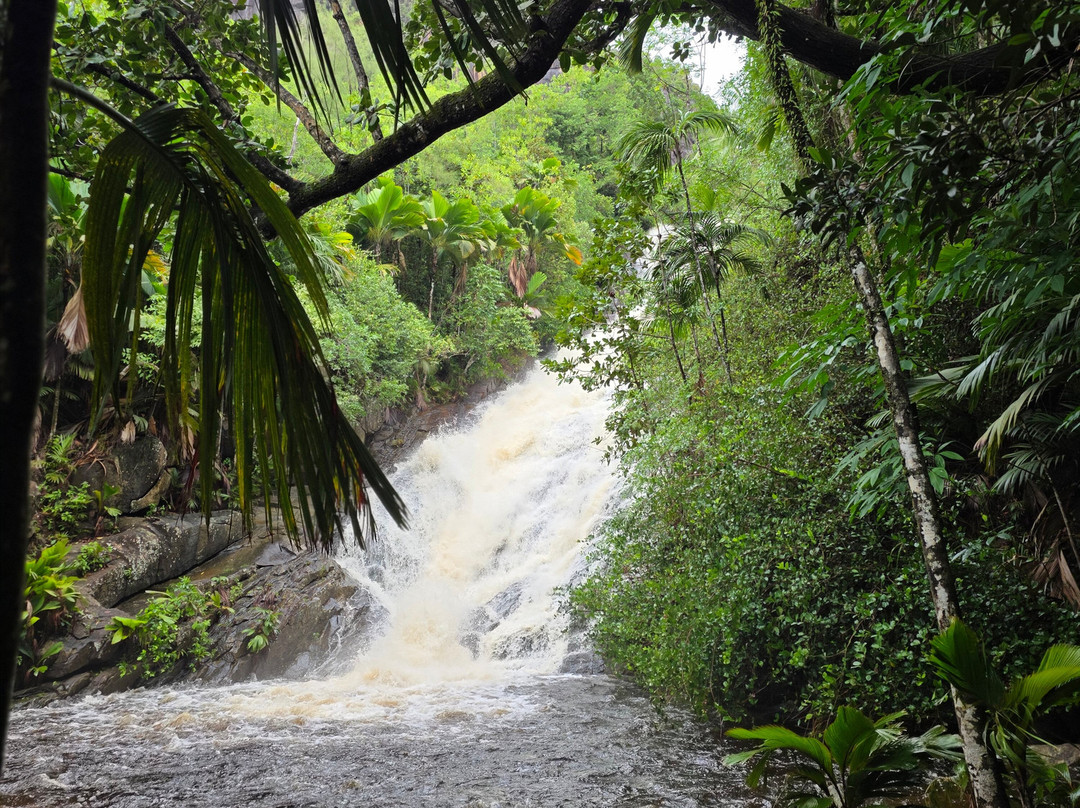 Grand Anse Waterfall-大安塞区必去景点