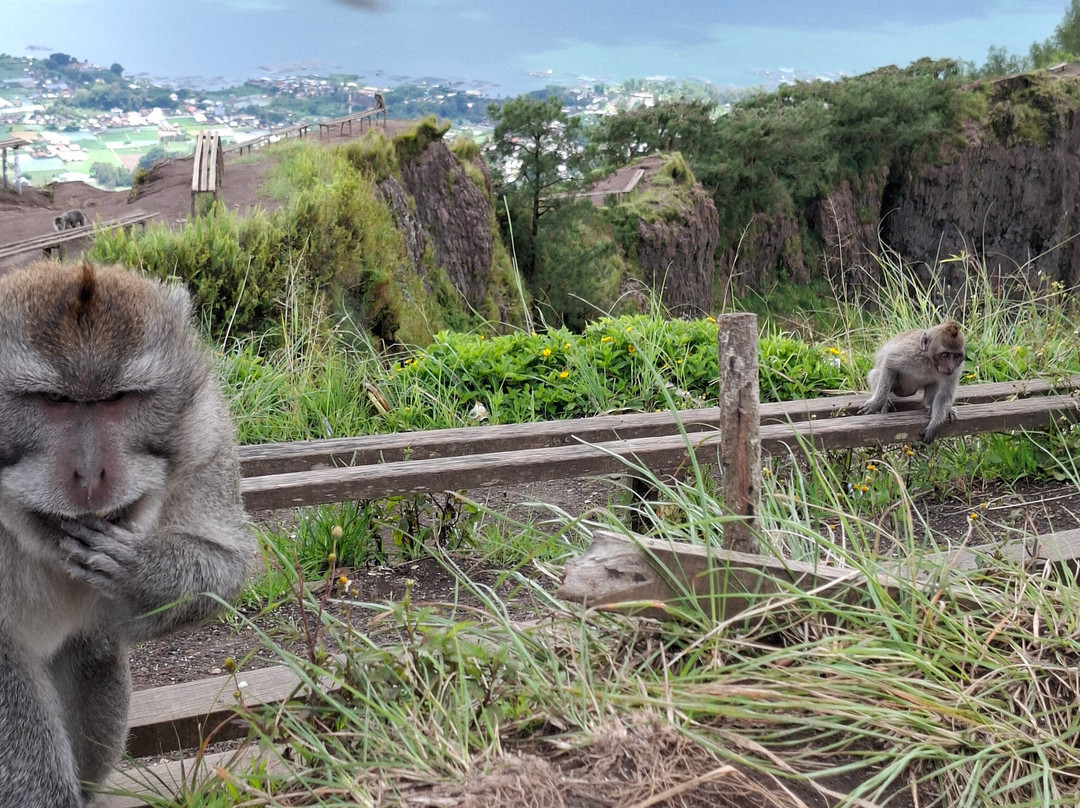 Mount Batur Trekking Guide-德格拉朗必去景点