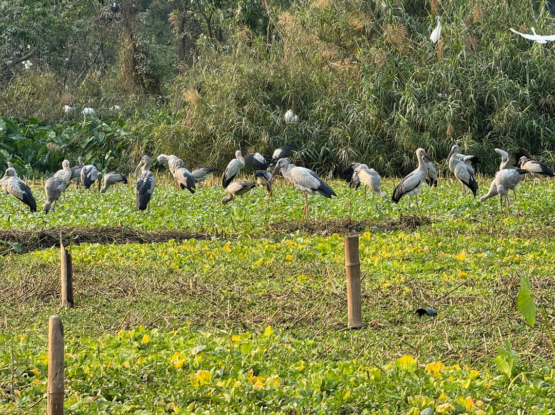 Thung Nham Bird Park-Ninh Hai必去景点
