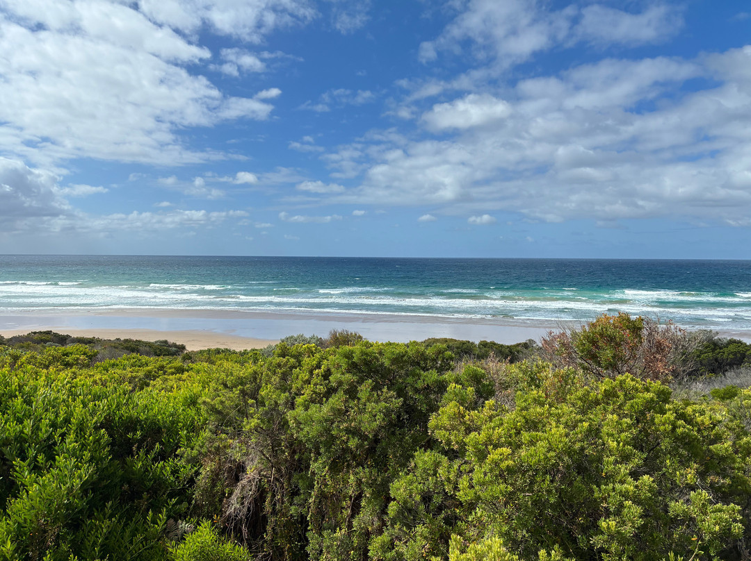Loveridge Lookout-安格尔西岛必去景点