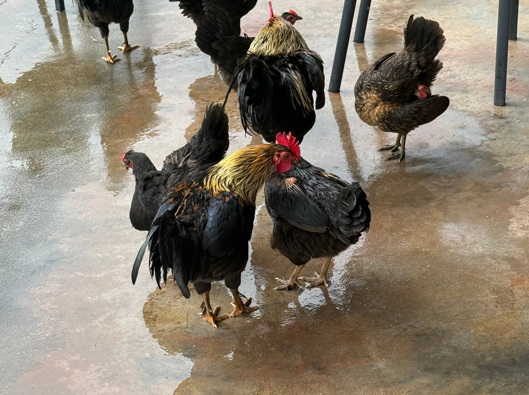 Vallé Advenature Park-Chamouny必去景点